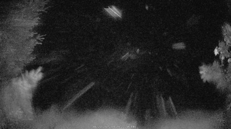 Image from 2025-06-27