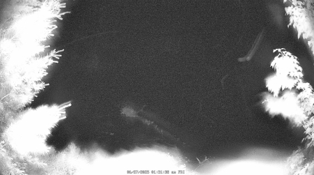 Image from 2025-06-27