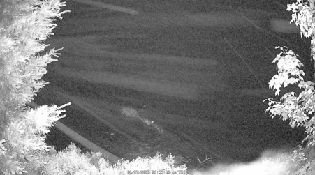 Image from 2025-06-27