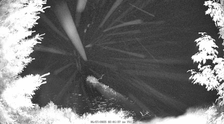 Image from 2025-06-27