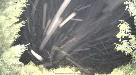 Image from 2025-06-27