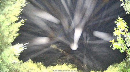 Image from 2025-06-27