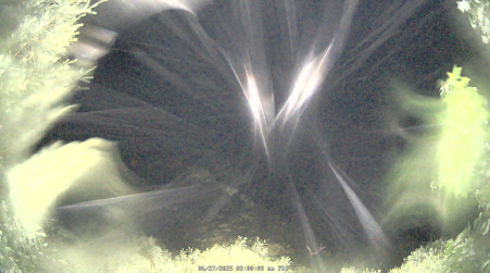 Image from 2025-06-27