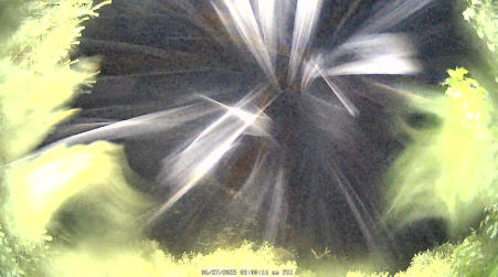 Image from 2025-06-27