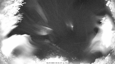 Image from 2025-06-27