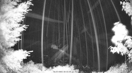 Image from 2025-06-27