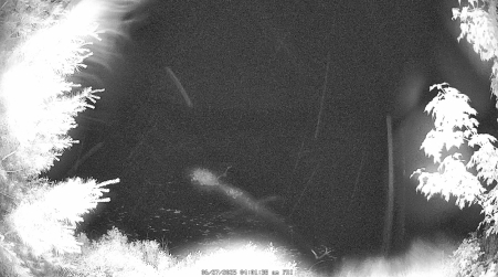 Image from 2025-06-27