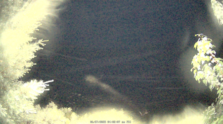 Image from 2025-06-27