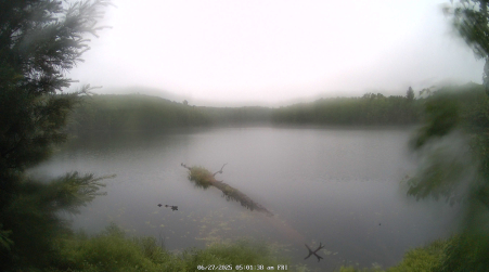 Image from 2025-06-27