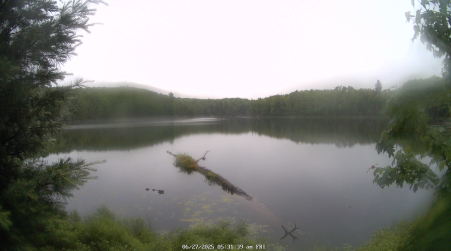 Image from 2025-06-27