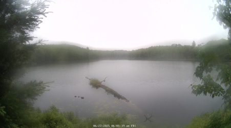 Image from 2025-06-27