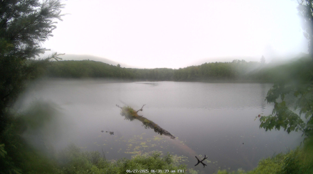 Image from 2025-06-27