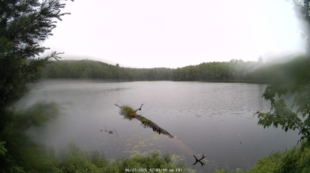 Image from 2025-06-27