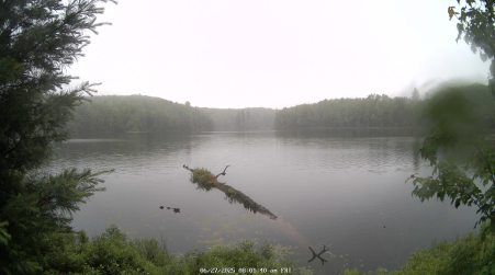 Image from 2025-06-27