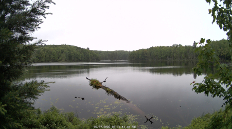 Image from 2025-06-27