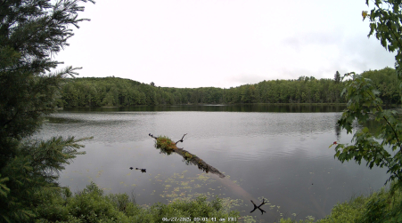 Image from 2025-06-27