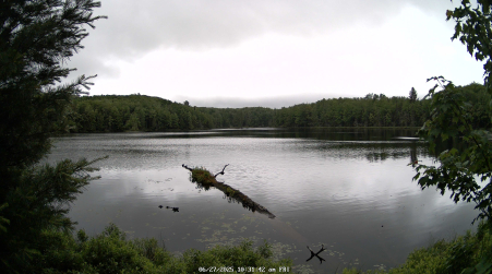 Image from 2025-06-27
