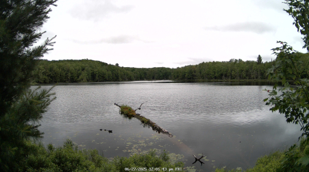 Image from 2025-06-27