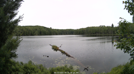 Image from 2025-06-27