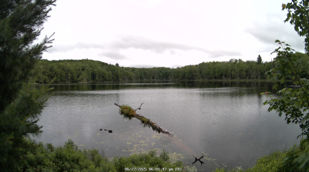 Image from 2025-06-27
