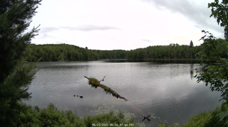 Image from 2025-06-27