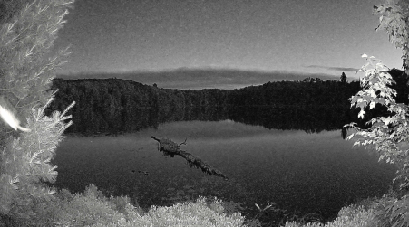 Image from 2025-06-27
