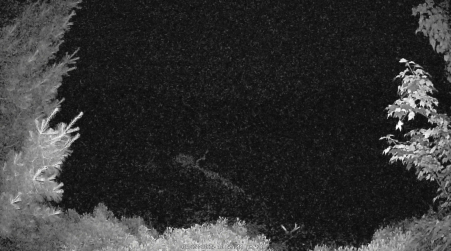 Image from 2025-06-27