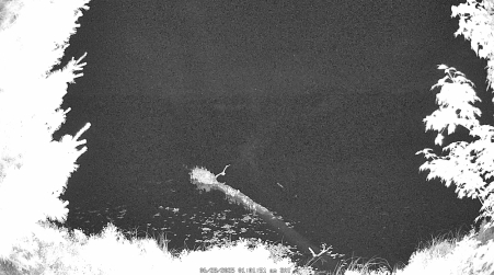 Image from 2025-06-28