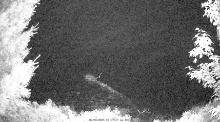Image from 2025-06-28