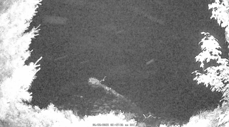 Image from 2025-06-28