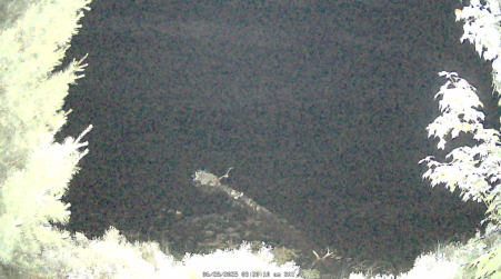 Image from 2025-06-28
