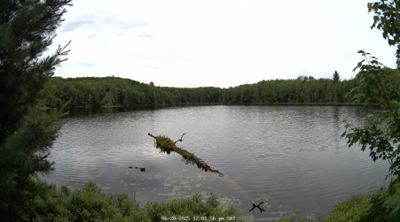 Image from 2025-06-28