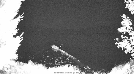 Image from 2025-06-28