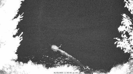 Image from 2025-06-28