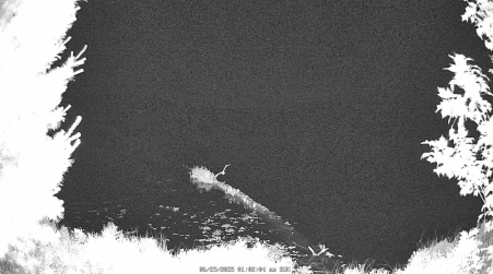 Image from 2025-06-29