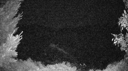 Image from 2025-06-29