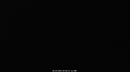 Image from 2025-06-29