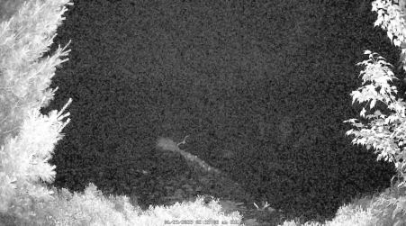 Image from 2025-06-29