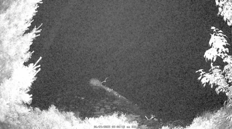 Image from 2025-06-29