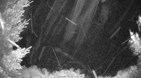 Image from 2025-06-29