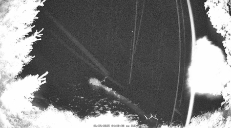 Image from 2025-06-29