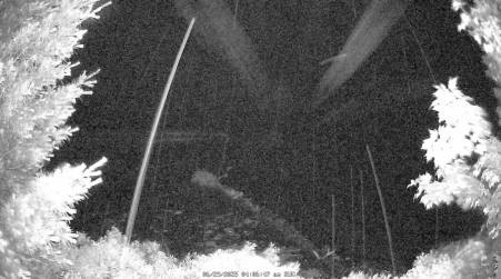 Image from 2025-06-29