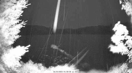 Image from 2025-06-29