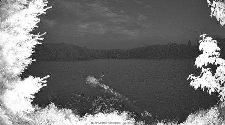 Image from 2025-06-29