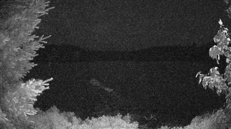 Image from 2025-06-29