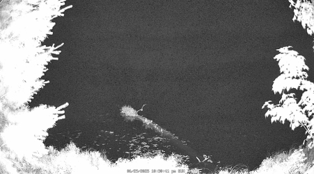Image from 2025-06-29
