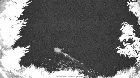 Image from 2025-06-29