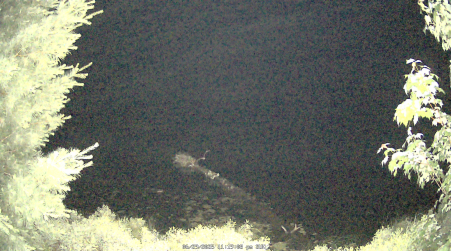 Image from 2025-06-29