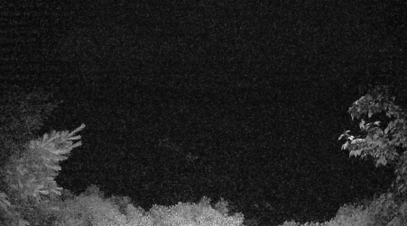 Image from 2025-06-29
