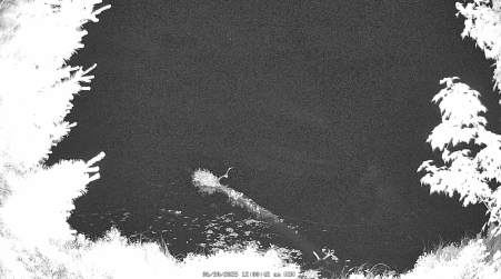 Image from 2025-06-30
